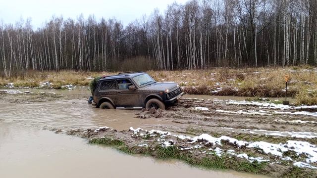 VID_20241116_123256 смотреть онлайн