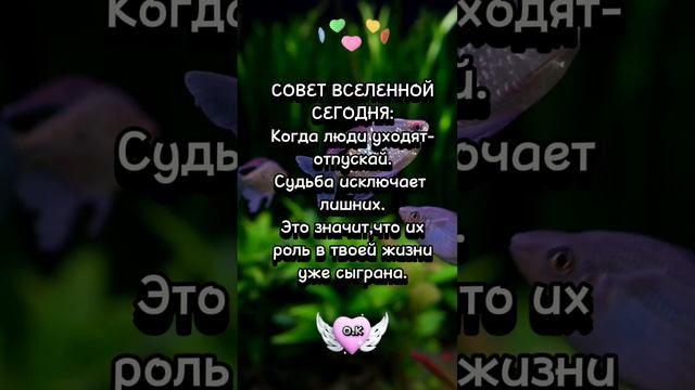 #Мысли в слух смотреть онлайн