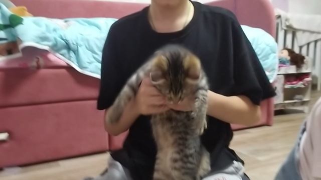 Прикольное видео с Малькой