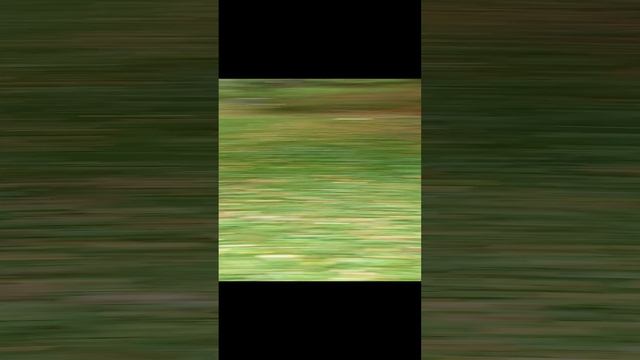 Парк Скульптур Сыктывкар.  Сентябрь 2024