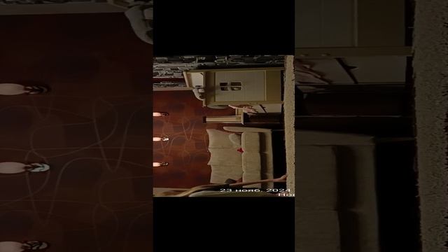 Квадробика🪄🐈