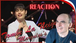 DIANA ANKUDINOVA ( Диана Анкудинова ) Tombe la Neige - Снег падает║ Réaction Française !