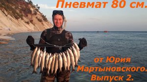 Пневмат 80 см от Юрия Мартыновского. Выпуск 2.