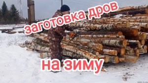 Заготовка дров на зиму.