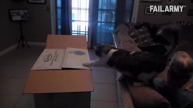 Мемы To Be To Be Continued