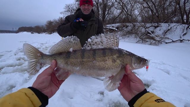 ЛОВЛЯ СУДАКА ЗИМОЙ ЛЁД ТРЕЩИТ ОТ ТАКИХ ПОКЛЁВОК смотреть онлайн