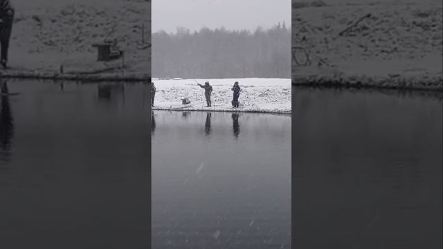 поимки смотреть онлайн