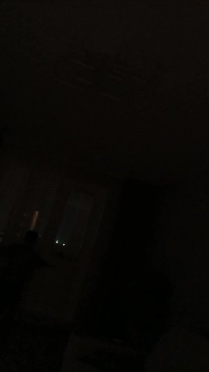 сербская леди