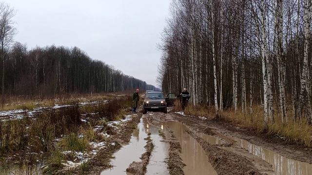 VID_20241116_125854 смотреть онлайн