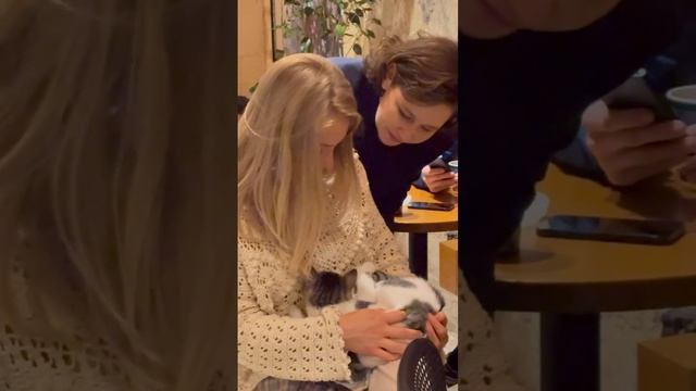 Мяу смотреть онлайн