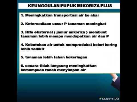 081235029132 jual pupuk mikoriza plus смотреть онлайн