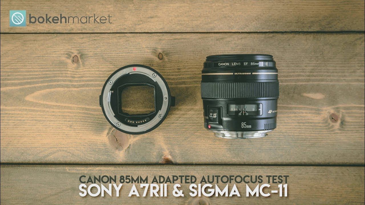Canon 85mm & Sony A7RII w/Sigma MC-11 Autofocus Test Adapted смотреть онлайн