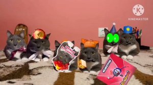 Заставка Котинет (я делал).   (можно брать)