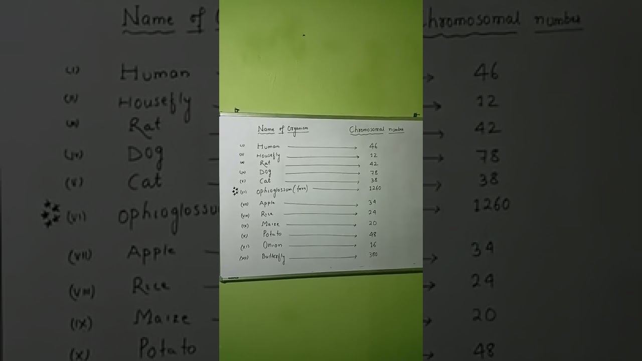 Chromosomal Number | Cell: The Unit Of Life | 🔥🔥🔥 смотреть онлайн