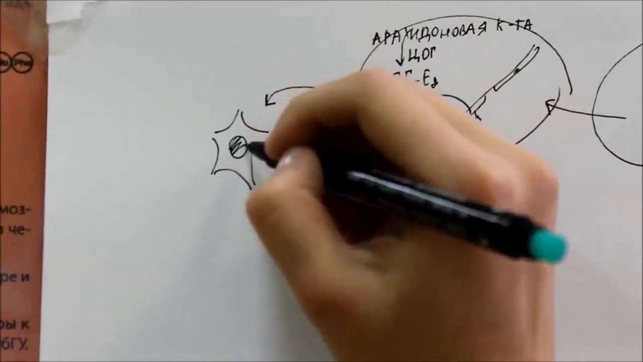Патогенез лихорадки смотреть онлайн