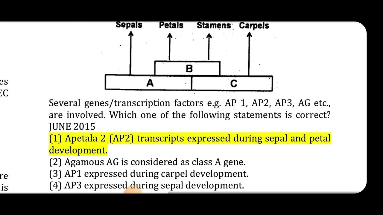 Developmental Bio смотреть онлайн