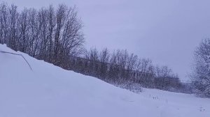 Воркута. 22.11.24. Спецвыпуск. И снова Воргашор.