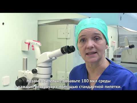 Загрузки культуральных чашек EmbryoSlide+ в time-lapse нкубатор EmbryoScope+ смотреть онлайн