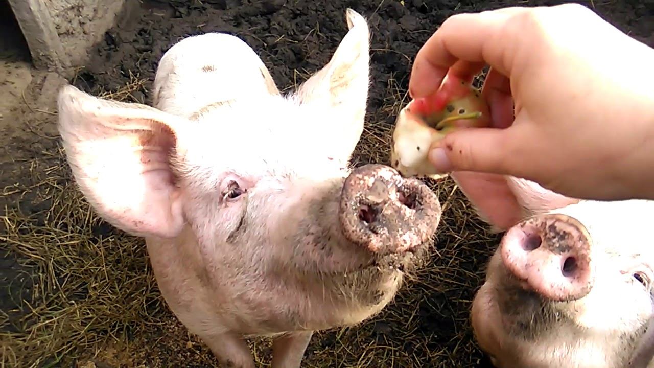 Ноябрьский день смотреть онлайн