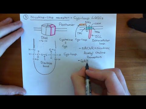 The 5-HT3 Receptors Part 2 смотреть онлайн