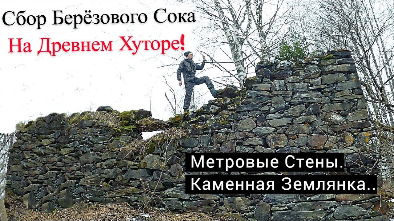Инструкция или Как Собирать Березовый Сок. В Память о Близком .. UHD смотреть онлайн