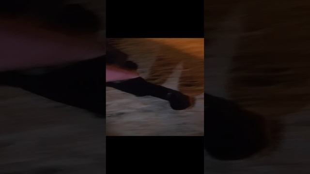 папапакака смотреть онлайн