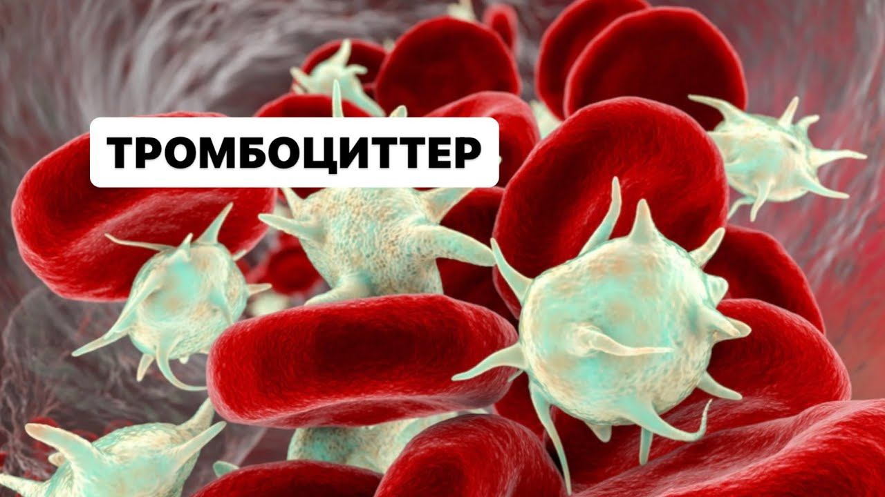 Тромбоциттер смотреть онлайн