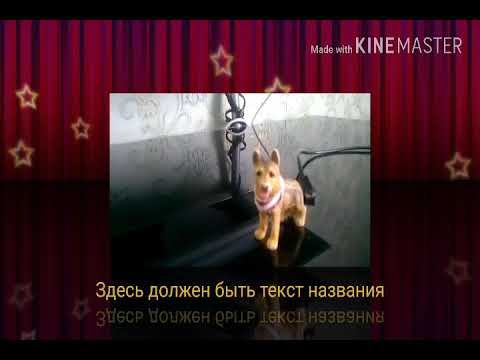 Моя самая грустная история(((( смотреть онлайн