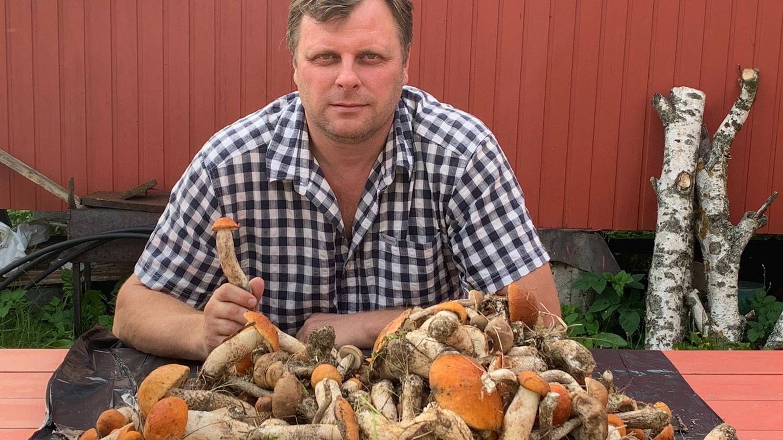 Осенние грибы Ленинградской области