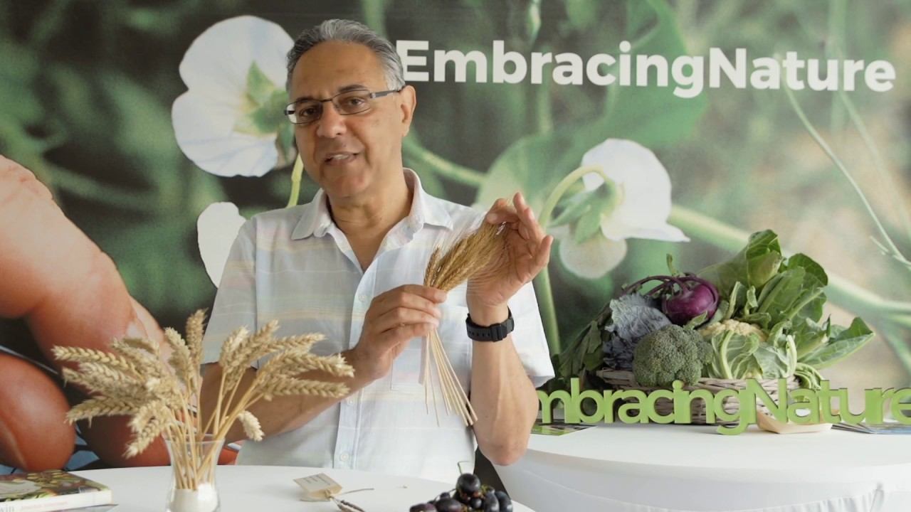 The (hi)story of bread by Jonathan Silvertown - part 1 смотреть онлайн