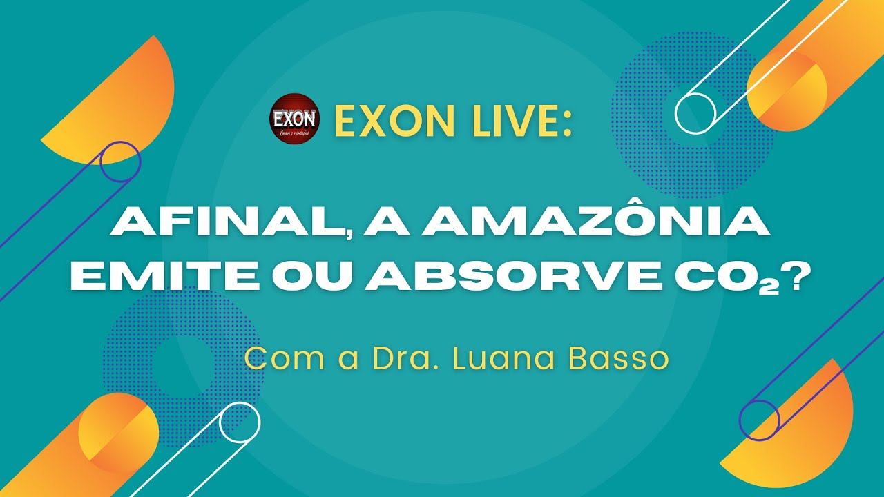Afinal, a Amazônia emite ou absorve CO2? смотреть онлайн