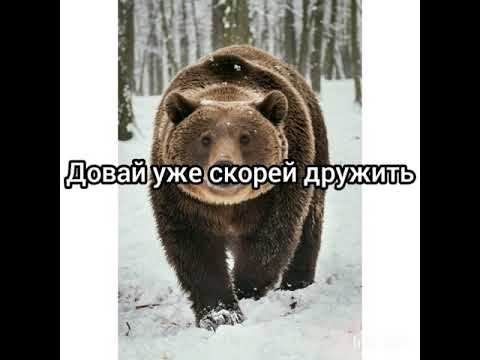 Очень смешная история я эту историю сома создала ну как вам она. смотреть онлайн