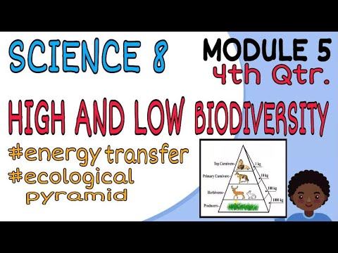 HIGH AND LOW BIODIVERSITY| MODULE 5| SCIENCE 8| FOURTH GRADING PERIOD| смотреть онлайн