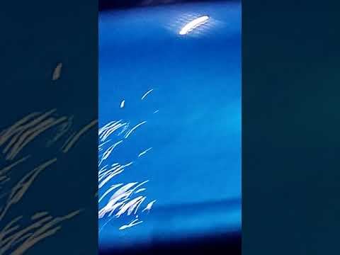 Новосибирск часть 3 дельфинарий смотреть онлайн