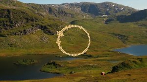 Сапар Алиев - Замана 2024