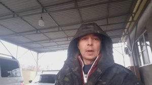 Пятый день после обработки пчёл. Ответы на вопросы.