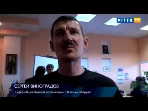 зеленый фронт piterTV 19 09 11 смотреть онлайн