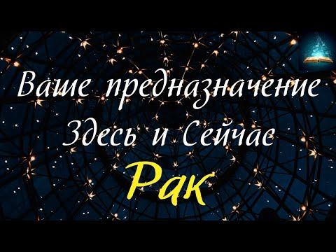 Рак. Ваше Предназначение на Данном Этапе Жизни Таро Прогноз смотреть онлайн