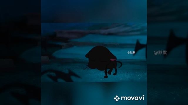 КотоПёс от стихогифки.mp4