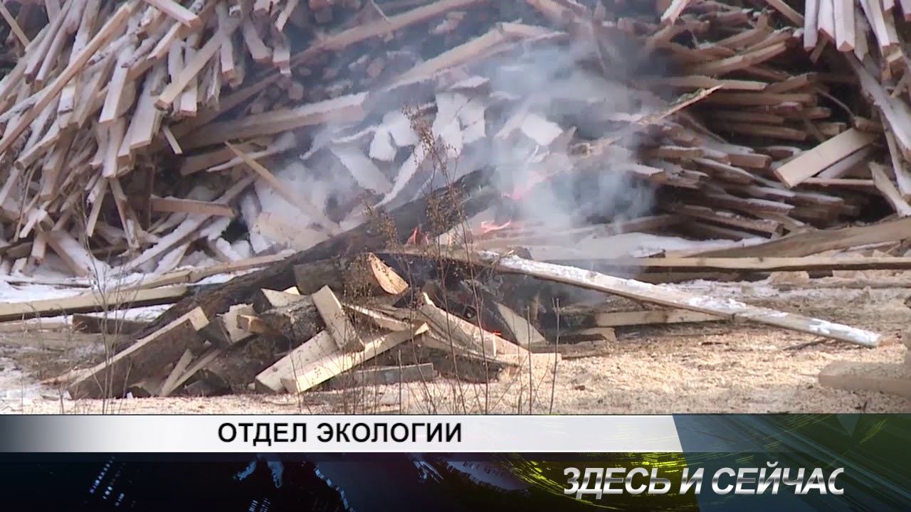 отдел экологии смотреть онлайн