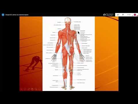 Анатомия, лекция #2. 30.09.2020 смотреть онлайн