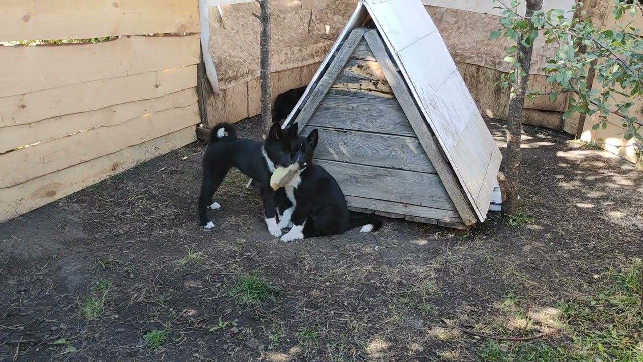 тройка с паролоном смотреть онлайн