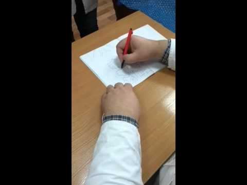 Анатомия восходящие пути смотреть онлайн