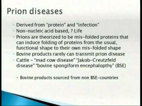 CCIC Provider Education: What the Heck is in Vaccines? смотреть онлайн