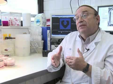 Entenda a bactéria E.Coli смотреть онлайн