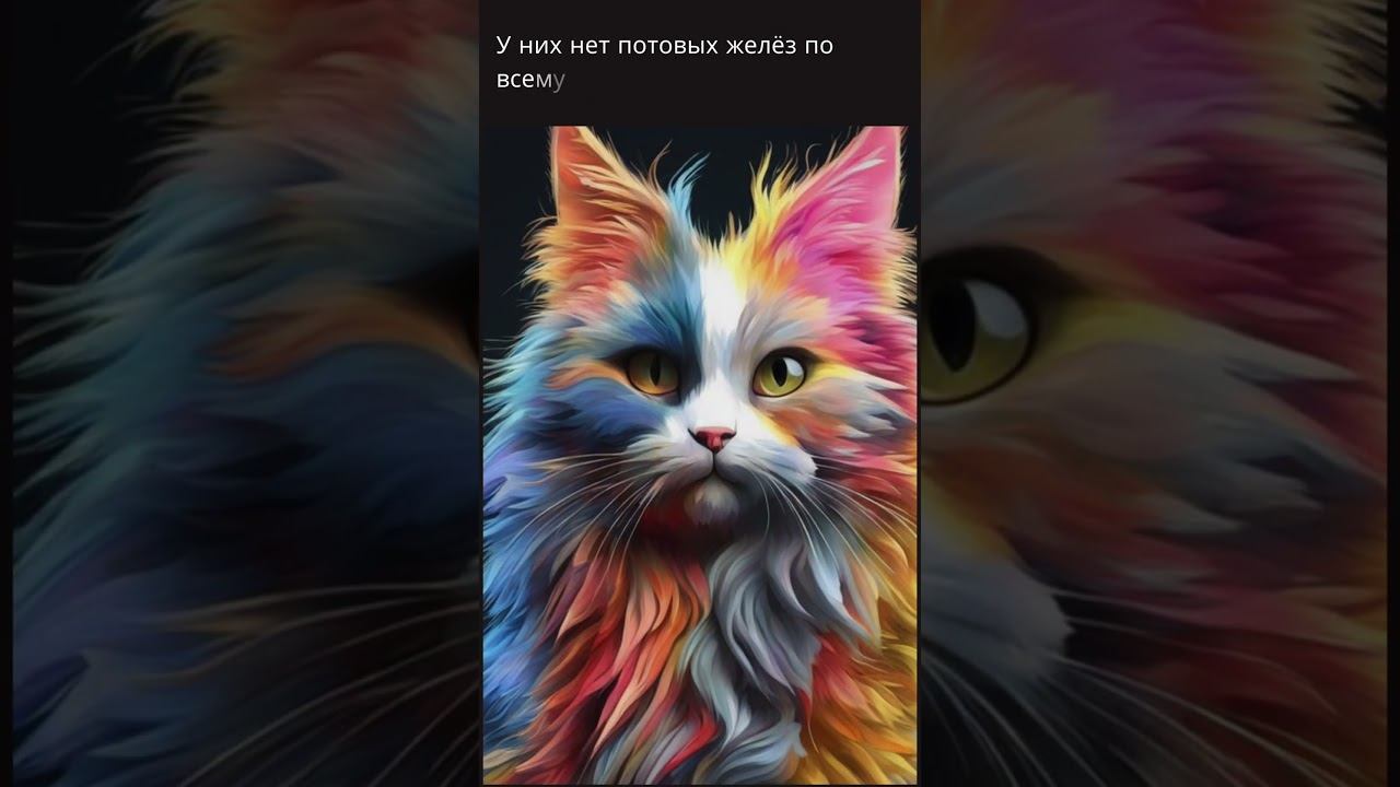 Могут, но не хотят#история #наука #факты#викторины #познавательно #test #интересно #интересныефакты смотреть онлайн