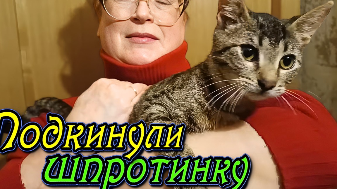 Подкинули шпротинку. смотреть онлайн