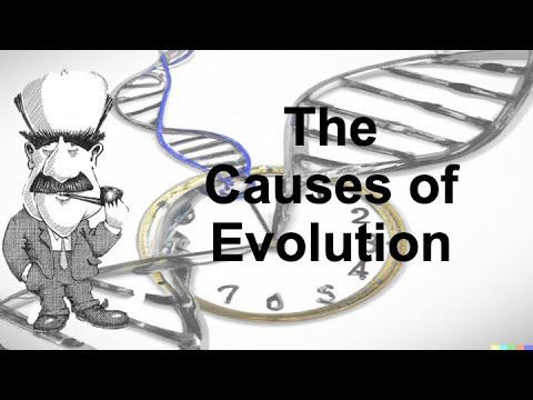 Variation | The Causes of Evolution | Ep. 1 смотреть онлайн