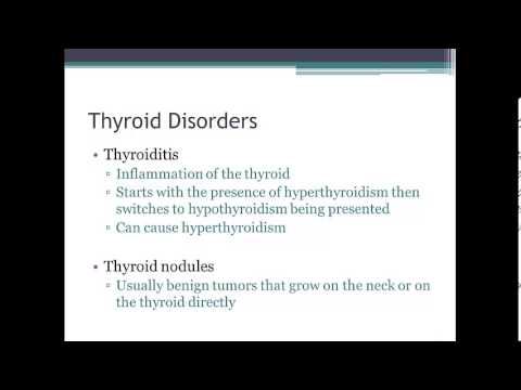 Metabolism and Thyroid Song Presentation смотреть онлайн