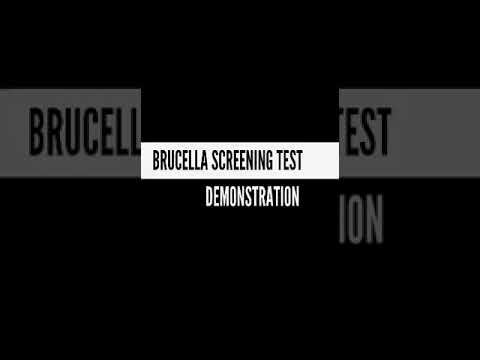 Brucella coloured Antigen test смотреть онлайн